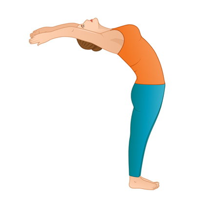Tummee.com - Learn and teach your students about Raised Arms Pose at  https://www.tummee.com/yoga-poses/raised-arms-pose (Search “tummee Raised  Arms Pose” on Google) Level | Beginner Position | Standing Type |  Back-Bend, Stretch Raised Arms