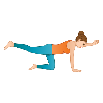 🐦 #Bakasana ↔ #CranePose on 👉 with ・ ・ ・ #IMPROVEYOURPRACTICE . . Today's Yoga  pose instructional is Crane Pose, or B… | Crane pose, Crane pose yoga, Yoga  poses