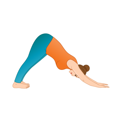 Yoga Pose: Downward Facing Dog