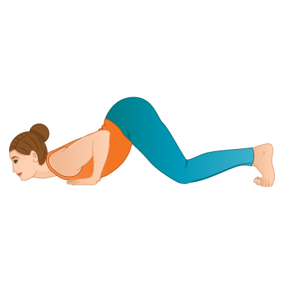 Chaturanga Dandasana (Four-Limbed Staff Pose): How to do, Benefits | Learn  yoga poses, Easy yoga workouts, How to stay motivated