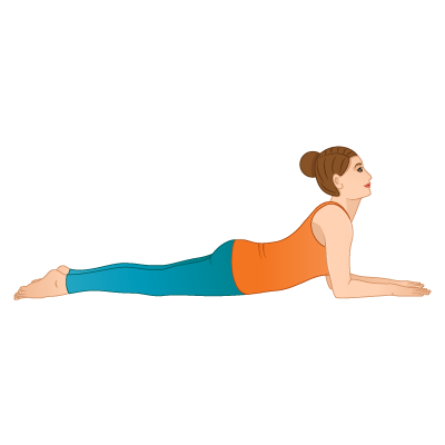 Young attractive woman practicing Yoga concept, Stretching in Cobra  Exercise, Bhujangasana Pose Stock Photo by LeylaCamomile