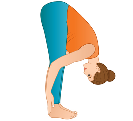 FORWARD BENDS Yoga Poses, Pose Directory