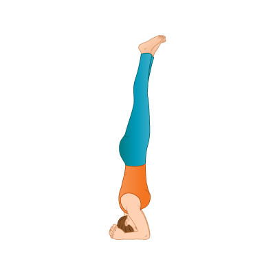 Learning Headstand Progressions - The Yoga Transformative