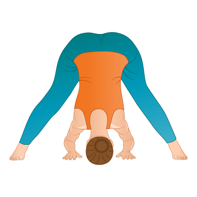 How To: Wide-Legged Forward Bend Yoga Pose (Prasarita Padottanasana) 5  Variations - GymGuider.com